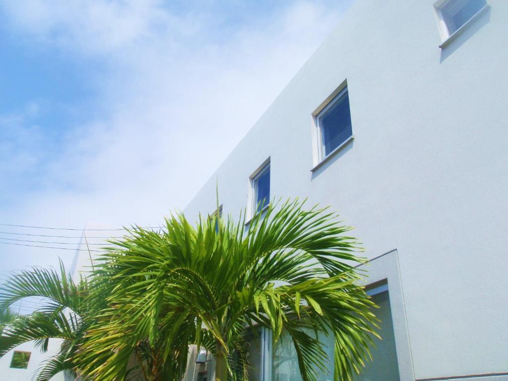 The Green Terrace Aparthotel Miyakojima  Εξωτερικό φωτογραφία